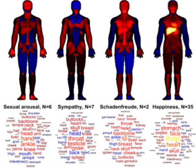 body map of assyrian emotional terms for sexual arousal, sympathy, happiness, and schadenfreude