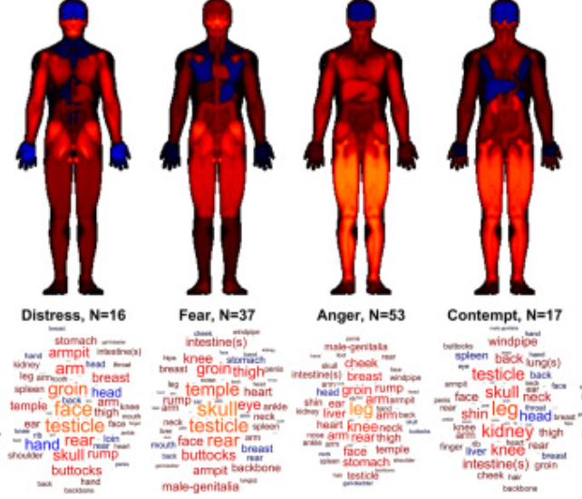 body map of ancient assyrian emotions for distress, anger, fear, and contempt