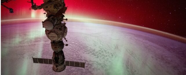 Astronauts Share Most Breathtaking Images of Earth From Space in 2024