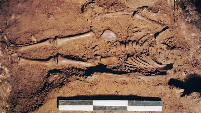 The bone remains of a child in as he was discovered in red soil