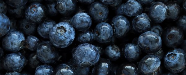 What are antioxidants, and do you need to take them as supplements?