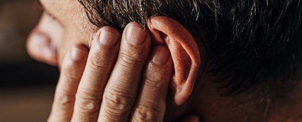 Tinnitus seems to be somehow linked to a crucial bodily function, studies hint