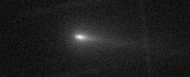 The 'Halloween Comet' Appears to Be Disintegrating in Space