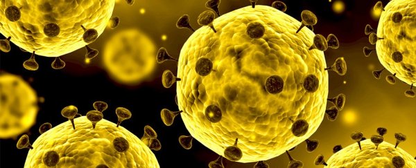 What is a coronavirus?