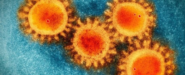 What is a coronavirus strain?