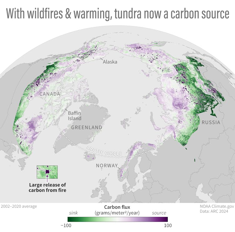 A map shows where Arctic land releases more carbon than it takes up, looking at 2002-2020 average.