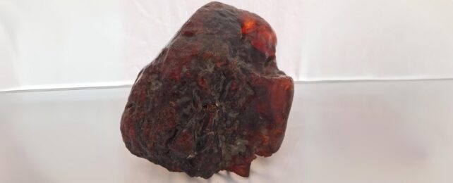 Rock Used as Doorstop For Decades Turns Out to Be Worth Over $1 Million