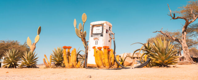 abandoned fuel pump surrounded by cactuses