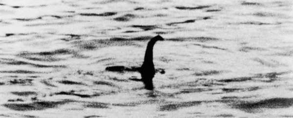 What is the Loch Ness Monster? Here's what the science really has to say