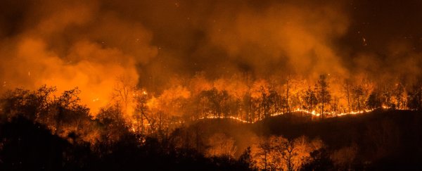 Representing 500 million citizens, the EP officially declares a climate emergency