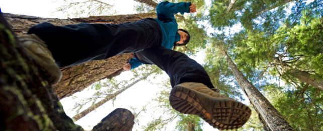 person stepping viewed from below