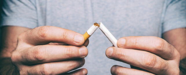 Person in grey shirt breaks cigarette in half