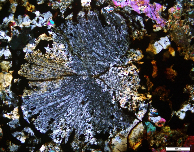 Radial Pyroxene chondrule