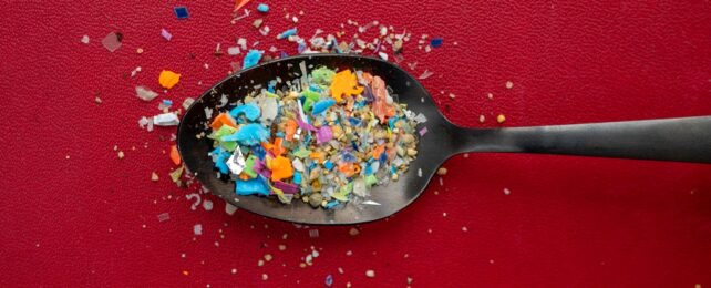 Spoon Of Microplastics