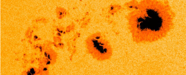 sunspots on the solar surface