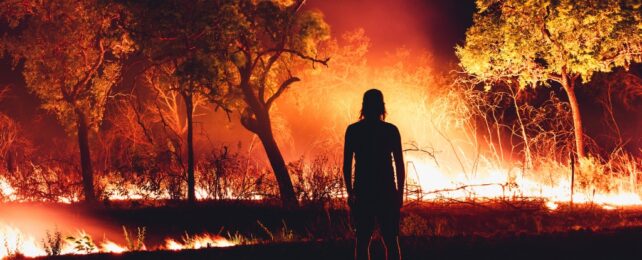 A silhouetted person facing into a wildfire