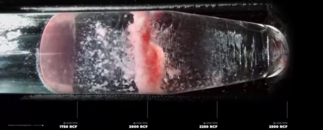 Incredible Videos Take Us Inside a Centrifuge For The First Time